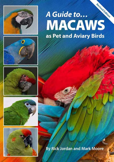 A guide to macaws as pet and aviary birds 2015. - Vitamin d2 new perspectives in drawing.